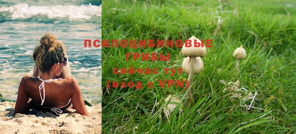 круглые Магас