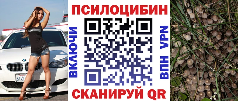Галлюциногенные грибы MAGIC MUSHROOMS Мариинский Посад
